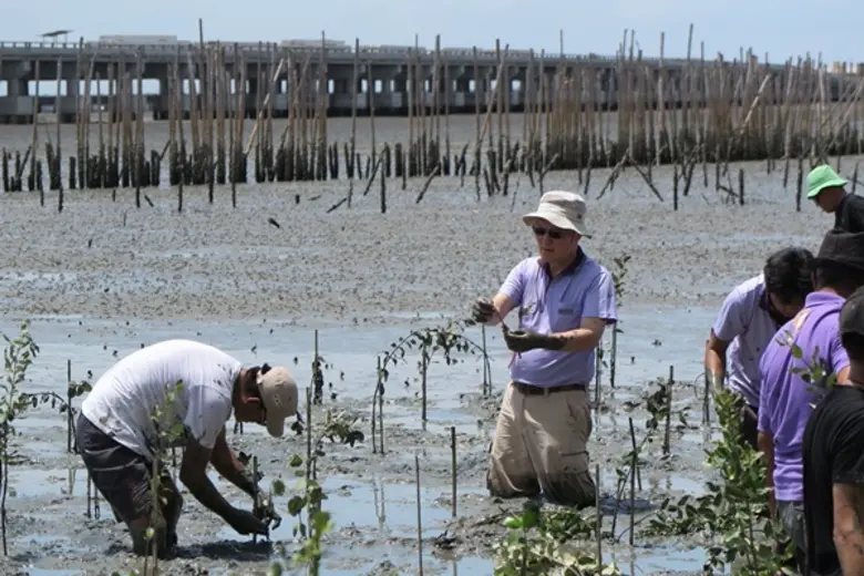 TEAM GROUP Family day ปลูกป่าชายเลน จังหวัดชลบุรี