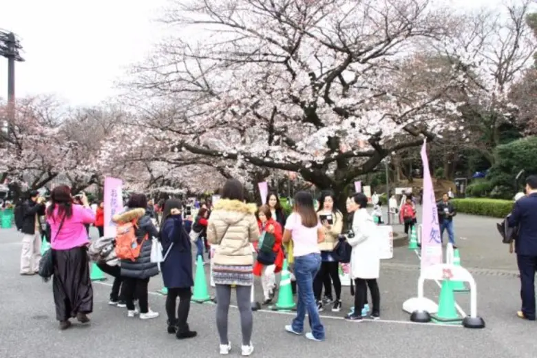 “Western Union Star Thailand” 2015 Awardees Win Trip to Tokyo to Attend Workshop