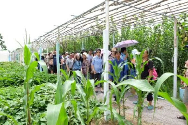 จากกระแสข่าวที่มีการสุ่มตรวจหาสารเคมีตกค้...