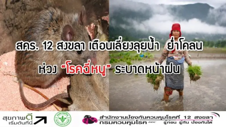 สำนักงานป้องกันควบคุมโรคที่ 12 จังหวัดสงข...