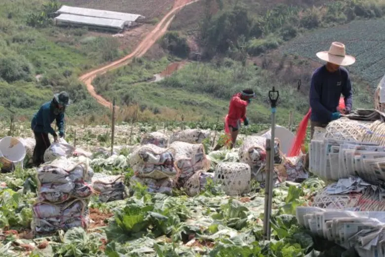 อุทยานแห่งชาติภูหินร่องกล้า พิษณุโลก สถาน...