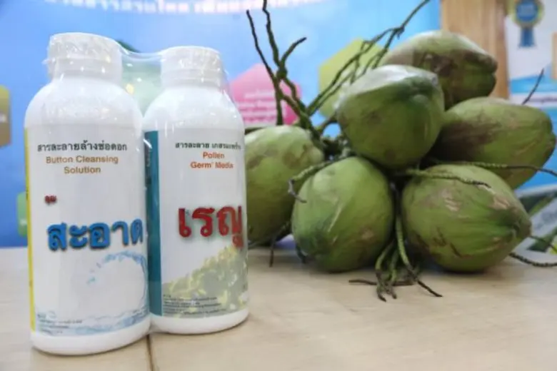 · วิทยาศาสตร์ฯ มธ. เผยนวัตกรรม "บรรจุภัณฑ...