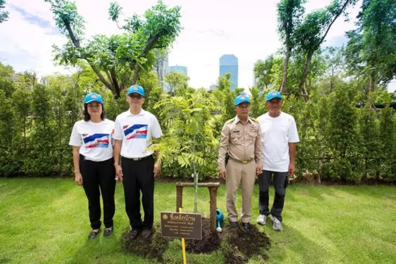 นางสาวดาวน้อย สุทธินิภาพันธ์ ผู้อำนวยการย...