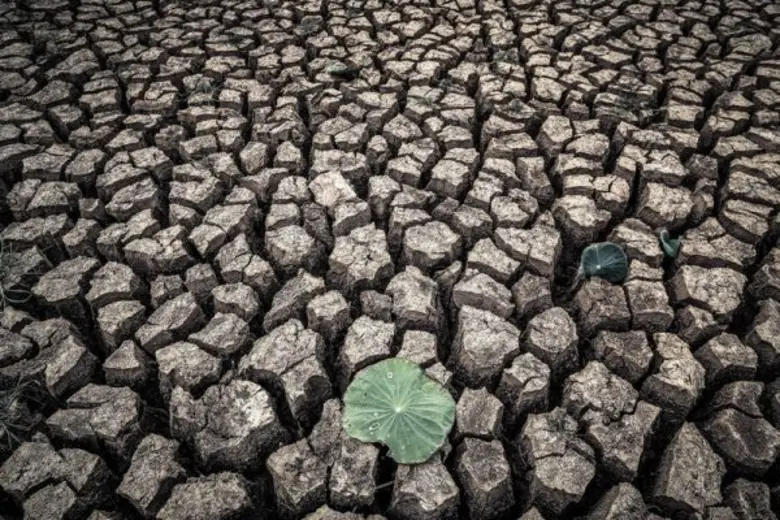 “สิงห์อาสาโมเดล” สู้ภัยแล้งปี 59 ระดมทีมร่วมฝ่าวิกฤตครบวงจรต้นน้ำ-ปลายน้ำ