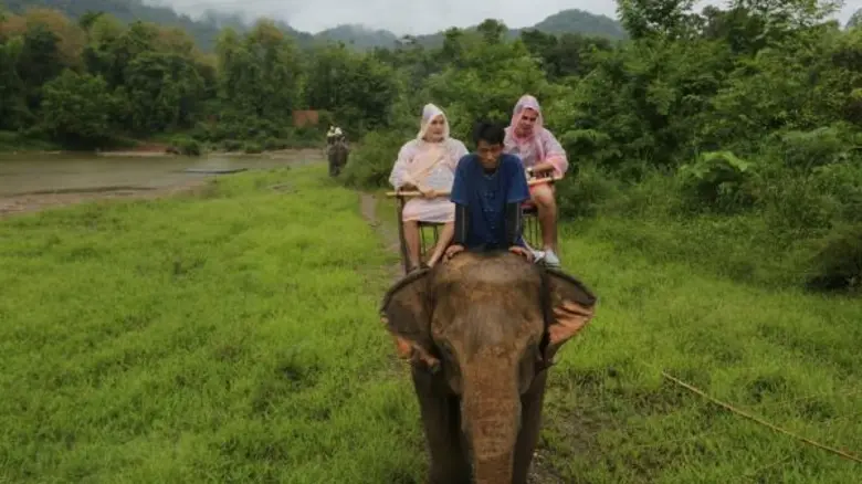 ทีวีไกด์: รายการ "สมุดโคจร On The Way" จ๊อบ นิธิ กับการเดินทางสุดแอดเวนเจอร์ Elephant Trekking ใน สมุดโคจร On The Way