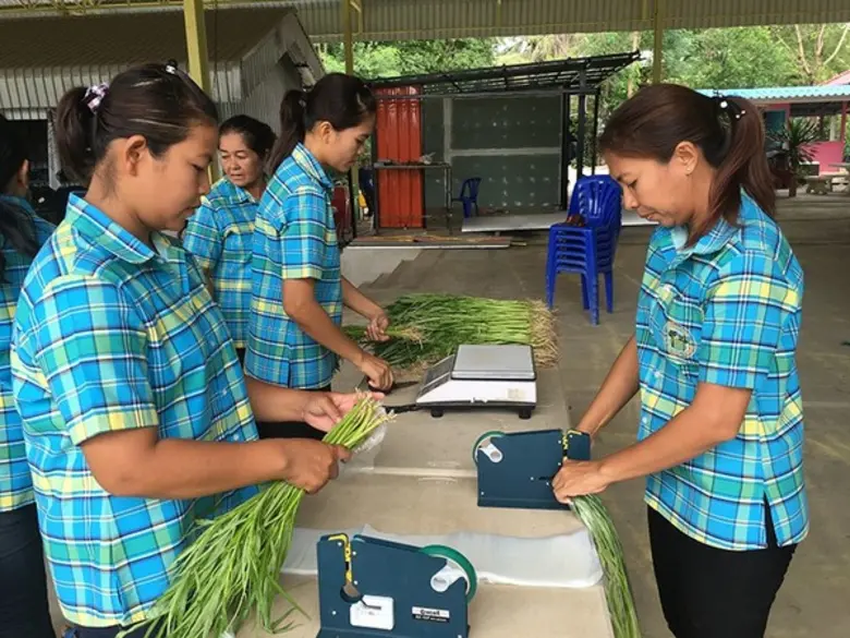 ความสำเร็จของหมู่บ้านเศรษฐกิจพอเพียง “บ้านดอนตะโหนด”