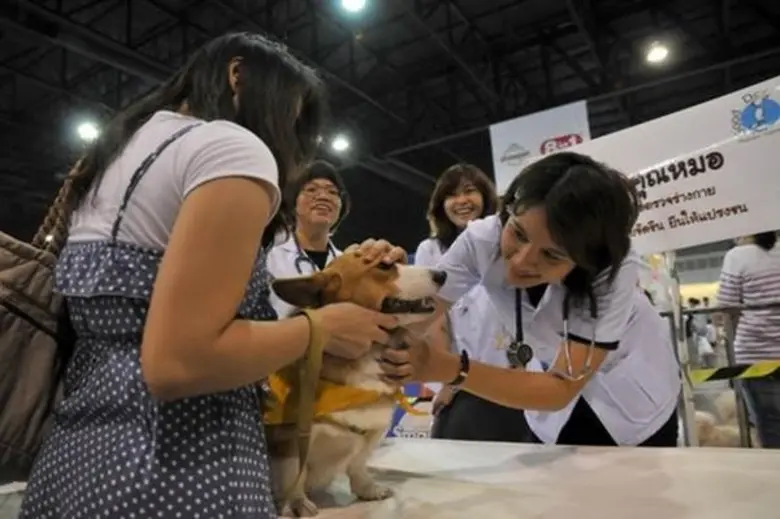 สำเร็จเกินคาดกันไปแล้วกับมหกรรมคนรักสุนัข...