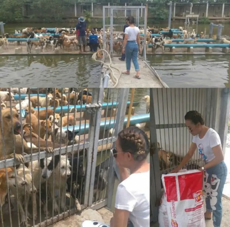 ไม่ใช่ว่าสวย ตลก อย่างเดียวนะจ๊ะ แต่งานบุ...