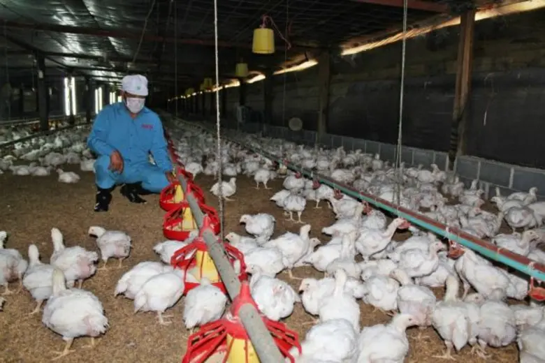 ซีพีเอฟจับมือกับกรมสวัสดิการและคุ้มครองแร...