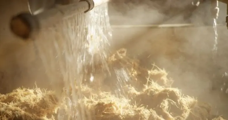 Ford, Jose Cuervo Team Up to Make Car Parts from Agave