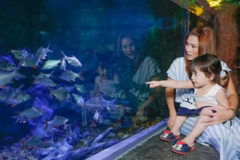 เนื่องในโอกาสการเฉลิมฉลอง "วันแม่แห่งชาติ...