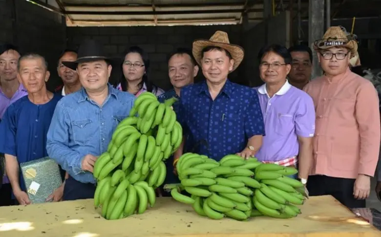 เมื่อวันก่อน ดร.วิณะโรจน์ ทรัพย์ส่งสุข อธ...