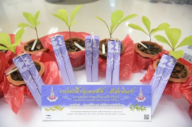 ไปรษณีย์ไทย เฉลิมพระเกียรติ 12 สิงหา มหาราชินี ชวนคนไทยปลูกต้นกล้า “มเหสักข์ - สักสยามินทร์” ณ ที่ทำการไปรษณีย์ทั่วประเทศ