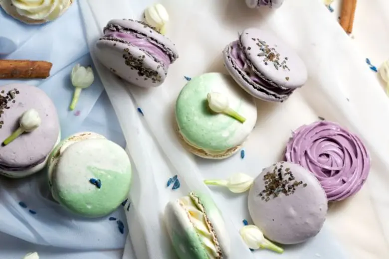 ตลอดเดือนสิงหาคม 2559 ทุกวันเวลา 8.00 – 2...