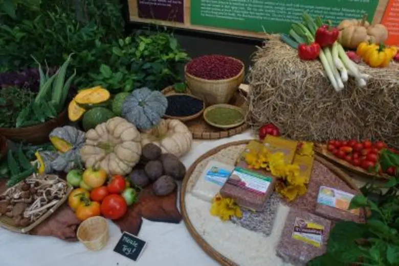 ในโอกาสพระราชพิธีมหามงคลเฉลิมพระชนมพรรษา ...