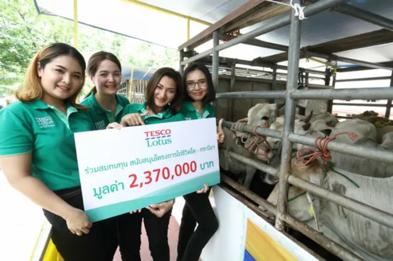 เทสโก้ โลตัส ไถ่ชีวิตโค-กระบือ ถวายเป็นพระราชกุศลแด่ในหลวง-พระราชินี