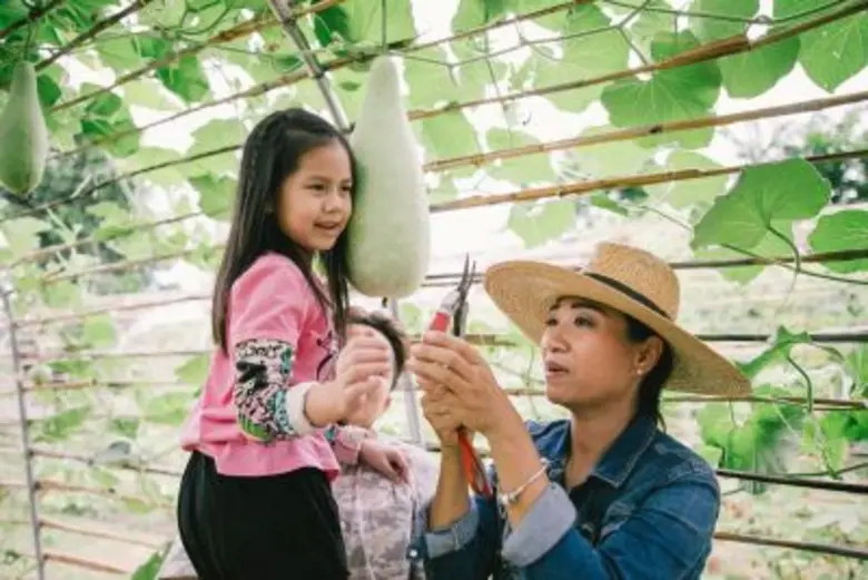 อะลาคัมปราณย์ พัทยา ชวนเดินเล่น Kids_Street_Market @ a la campagne ชมฟาร์มผักเก็บไข่ ช้อปของเด็ก เริ่ม 13 สิงหาคมนี้