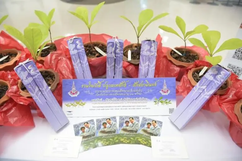 ไปรษณีย์ไทย เฉลิมพระเกียรติ 12 สิงหา มหาราชินี ชวนคนไทยปลูกต้นกล้า “มเหสักข์ - สักสยามินทร์” ณ ที่ทำการไปรษณีย์ทั่วประเทศ