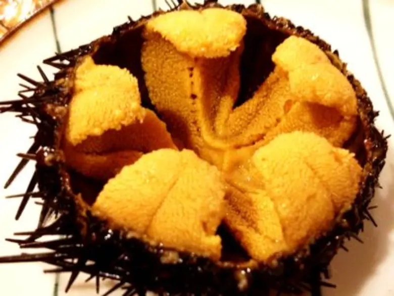 “แคนาเดียนซีฟู้ด” ส่งตรงจากแหล่งที่ดีที่สุดในแคนาดา พร้อมเสิร์ฟความอร่อย ในงาน “เทสต์ ออฟ แคนาดา ครั้งที่ 5”