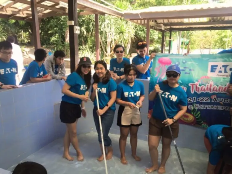 อีตั้น อิเล็คทริคร่วมอนุรักษ์เต่าทะเลคู่ท้องทะเลไทย