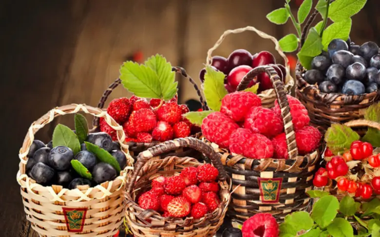 ตลอดเดือนสิงหาคม 2559 นี้ โรงแรมเซ็นทาราแ...