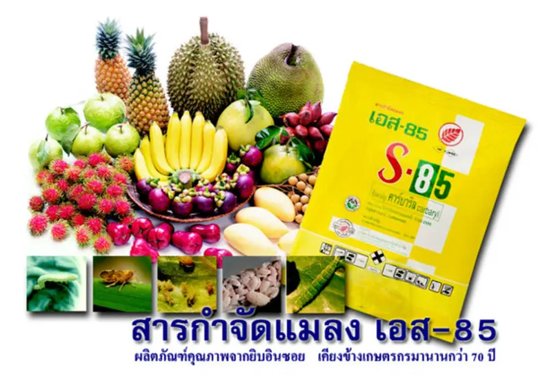 บริษัท ยิบอินซอยและแย๊คส์ จำกัด ในเครือยิ...