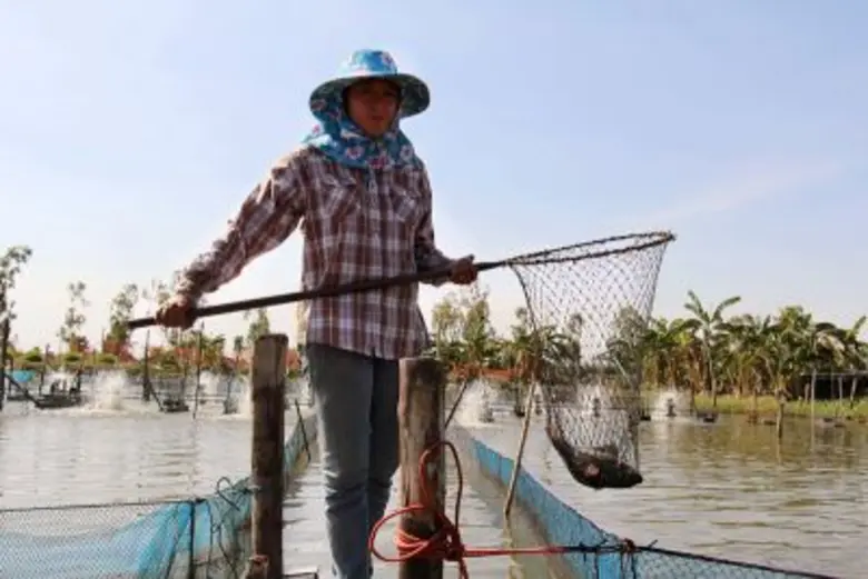 จากพยากรณ์อากาศกรมอุตุนิยมวิทยาประกาศเตือ...