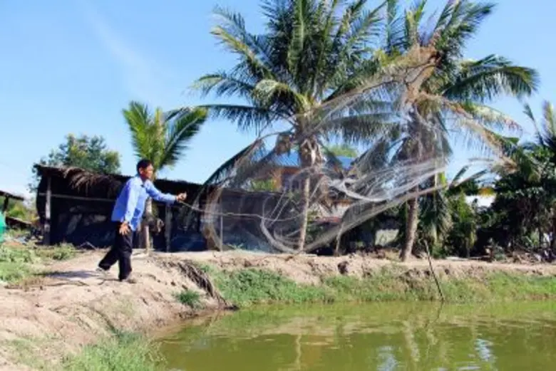 ประมง..แจ้งเตือน ฝนหนัก อากาศแปรปรวน หวั่น ! โรคระบาดปลา เกษตรกรเฝ้าระวังสัตว์น้ำใกล้ชิด ชาวเรือเพิ่มความระมัดระวัง เรือเล็กงดออกจากฝั่ง