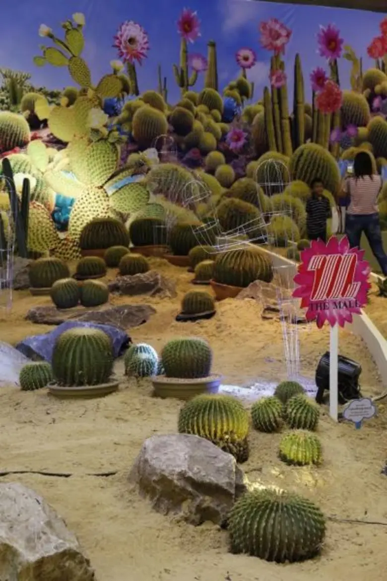 เดอะมอลล์ มหัศจรรย์แห่งพรรณไม้ ครั้งที่ 4 ขอเชิญสัมผัสมหัศจรรย์สวนนานาพรรณ