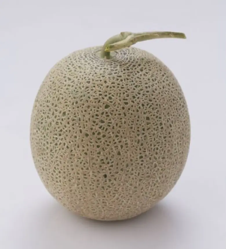 กูร์เมต์ มาร์เก็ต เอ็มโพเรียม เอ็มควอเทีย...