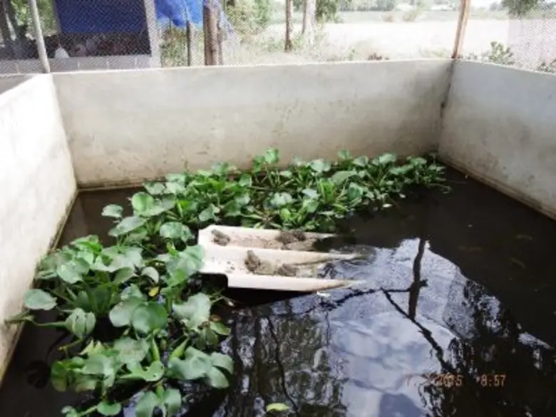 LIONHEART…. เด็กไทยหัวใจจิตอาสา “จากพี่สู่น้อง” สานฝันเด็กด้อยโอกาส  เดินตามรอยพระราชดำริ