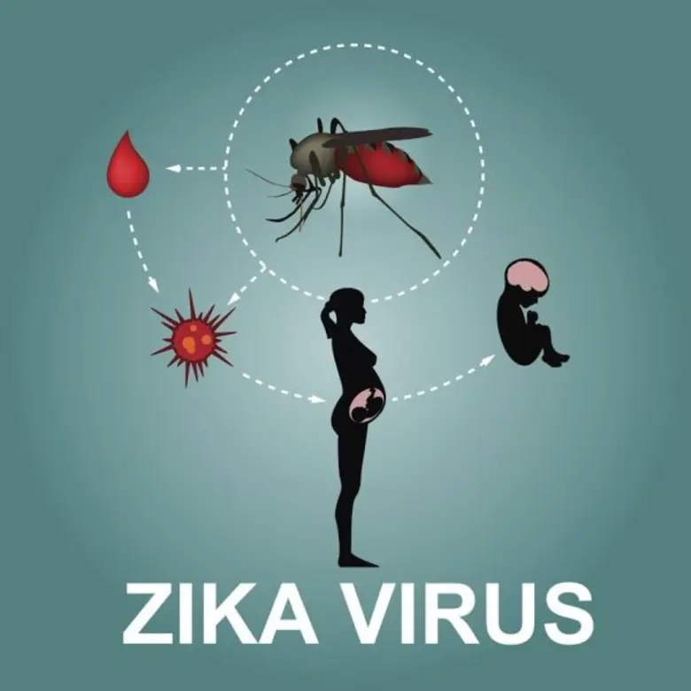 ตะลึงนักวิทย์ไทยพบวิธีเพิ่มเม็ดเลือดขาวสู้ไวรัส ซิกา