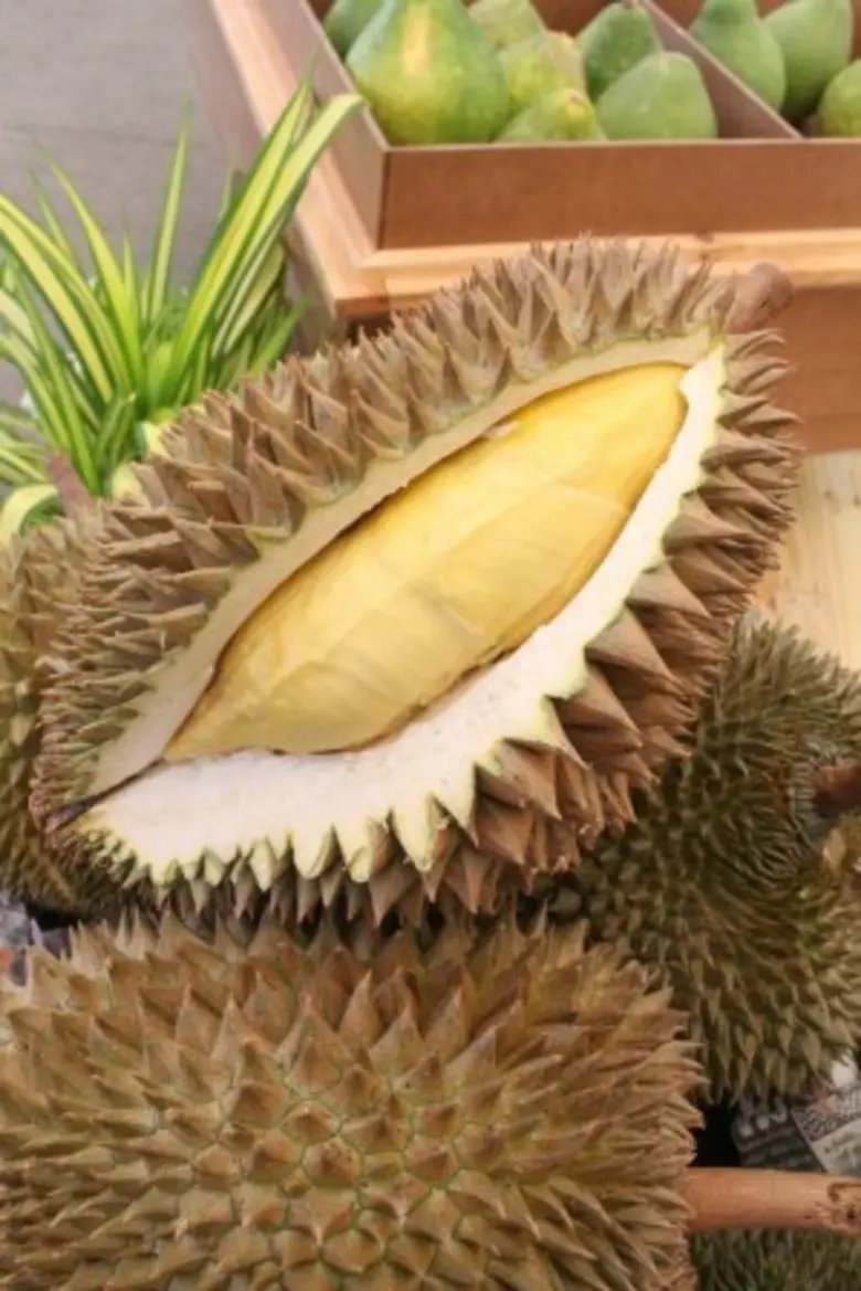 ก.เกษตรฯ ชวนเที่ยวงาน “ของดีจากชายแดนใต้ ครั้งที่ 9 ” วันนี้ - 11 กันยายนนี้ ณ กรมชลประทาน ปากเกร็ด จังหวัดนนทบุรี