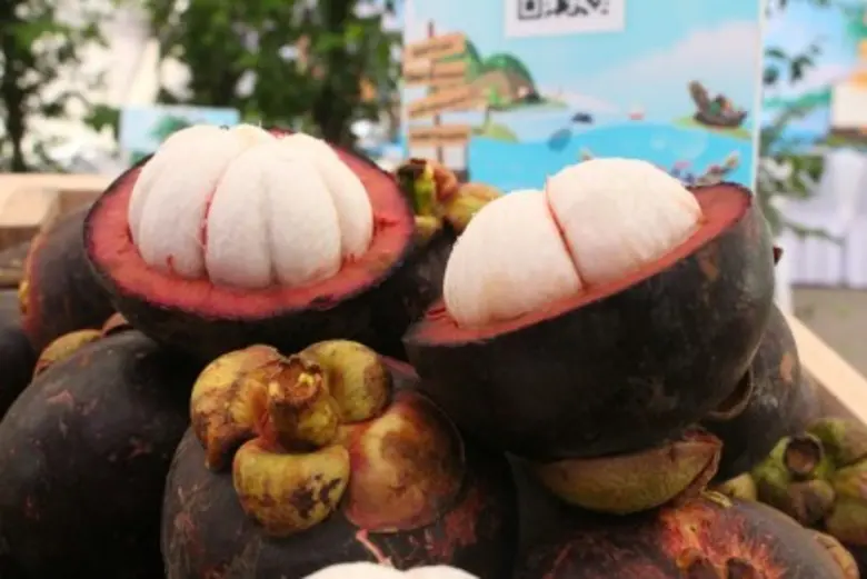 ก.เกษตรฯ ชวนเที่ยวงาน “ของดีจากชายแดนใต้ ครั้งที่ 9 ” วันนี้ - 11 กันยายนนี้ ณ กรมชลประทาน ปากเกร็ด จังหวัดนนทบุรี