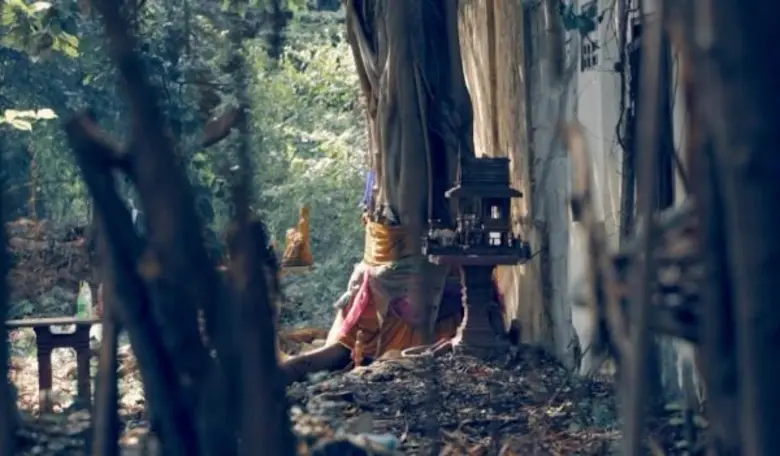 ป่าช้า.. สถานที่ชวนขนหัวลุกที่ไม่มีใครกล้...