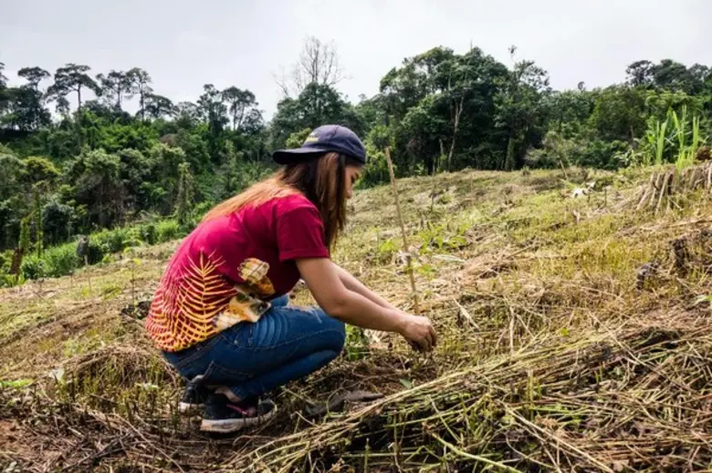 Flight of the Gibbon ปลูกป่าเฉลิมพระเกียรติพระบาทสมเด็จพระเจ้าอยู่หัว และสมเด็จพระนางเจ้าฯ พระบรมราชินีนาถ