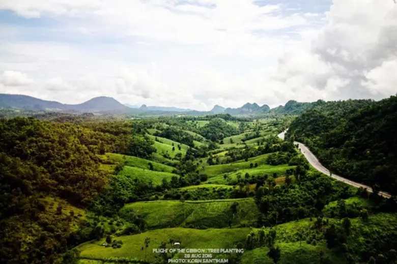 Flight of the Gibbon ปลูกป่าเฉลิมพระเกียรติพระบาทสมเด็จพระเจ้าอยู่หัว และสมเด็จพระนางเจ้าฯ พระบรมราชินีนาถ