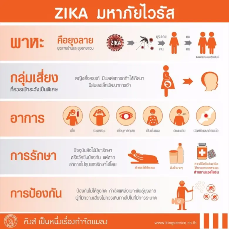 เมื่อวันที่ 6 กันยายน 2559 ที่ผ่านมา รองโ...