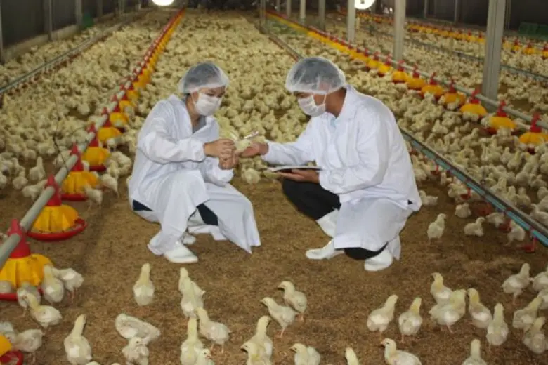 กรมสวัสดิการและคุ้มครองแรงงาน (กสร.) และก...