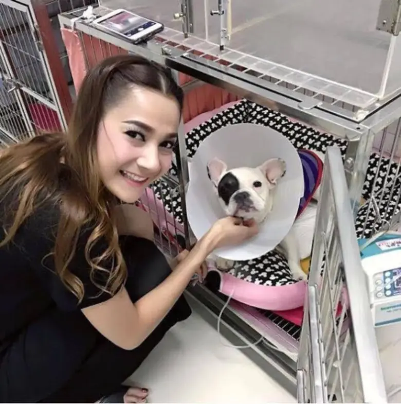 เป็นอีกหนึ่งสาวที่รักสัตว์เป็นชีวิตจิตใจเ...