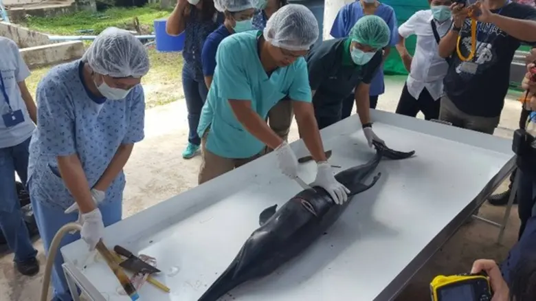 ศูนย์วิจัยและพัฒนาทรัพยากรทางทะเลและชายฝั...