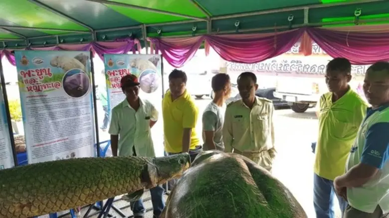 เมื่อวันที่ 29 สิงหาคม 2559 ที่ผ่านมา สถา...