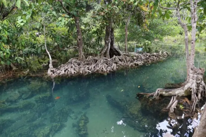 มัคคุเทศก์น้อยคลองสองน้ำ เรียนรู้ชุมชน - เพื่อรักชุมชน