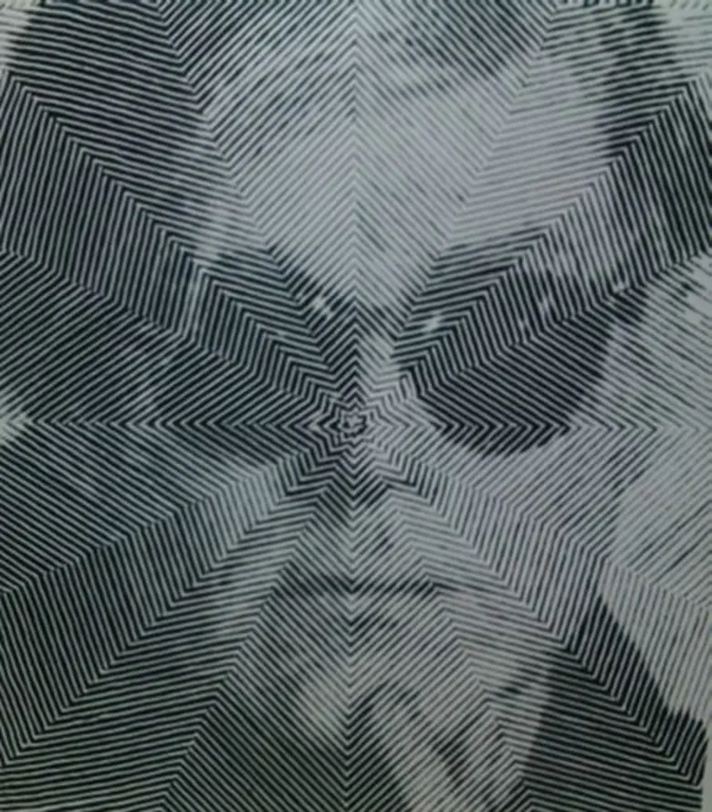 ลับ ลวง พรางในนิทรรศการ Illusions