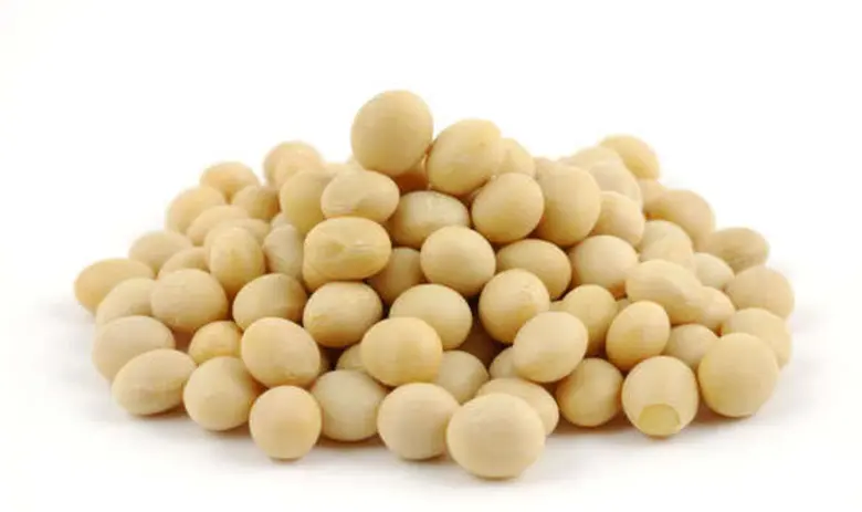 “วันโรคข้อสากล” มารู้เท่าถึงการณ์ ข้อเข่าเสื่อม กันเถอะ