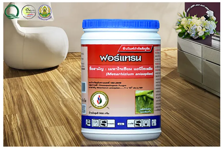 ชมรมเกษตรปลอดสารพิษภายใต้ บริษัท ไทยกรีน ...