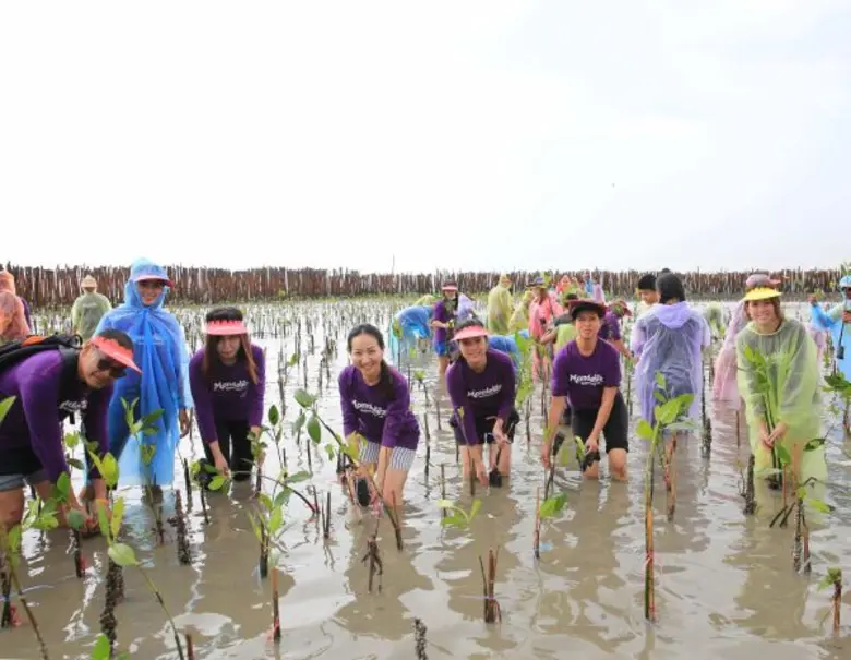มอนเดลีซ จัดกิจกรรม “พนักงานจิตอาสา รักษ์ป่าชายเลน” เพิ่มพื้นที่สีเขียวกลับคืนสู่ธรรมชาติ