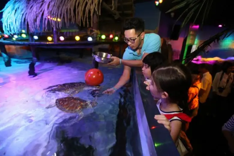 สนุกรับปิดเทอม! ซีไลฟ์ฯ ชวนเด็กๆ เรียนรู้คู่อนุรักษ์ กับแคมเปญแห่งปี “Turtle Fest…เปิดอาณาจักรเต่าทะเล”