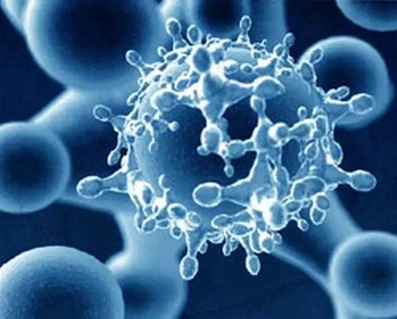 กรมควบคุมโรค ห่วงเด็กป่วยไข้หวัดใหญ่ หลังพบเด็กอายุต่ำกว่า 14 ปีมีอัตราป่วยสูงสุด และคาดว่า ต.ค.-พ.ย. นี้จะมีผู้ป่วยรวมเกือบ 3 หมื่นราย