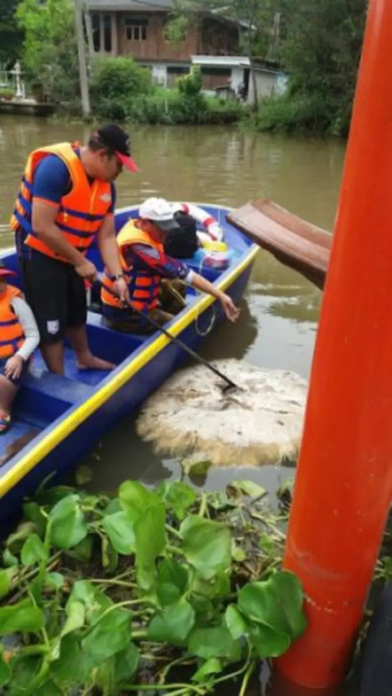 กระเบนราหู จัดเป็นสัตว์น้ำจืด ขนาดใหญ่ที่...